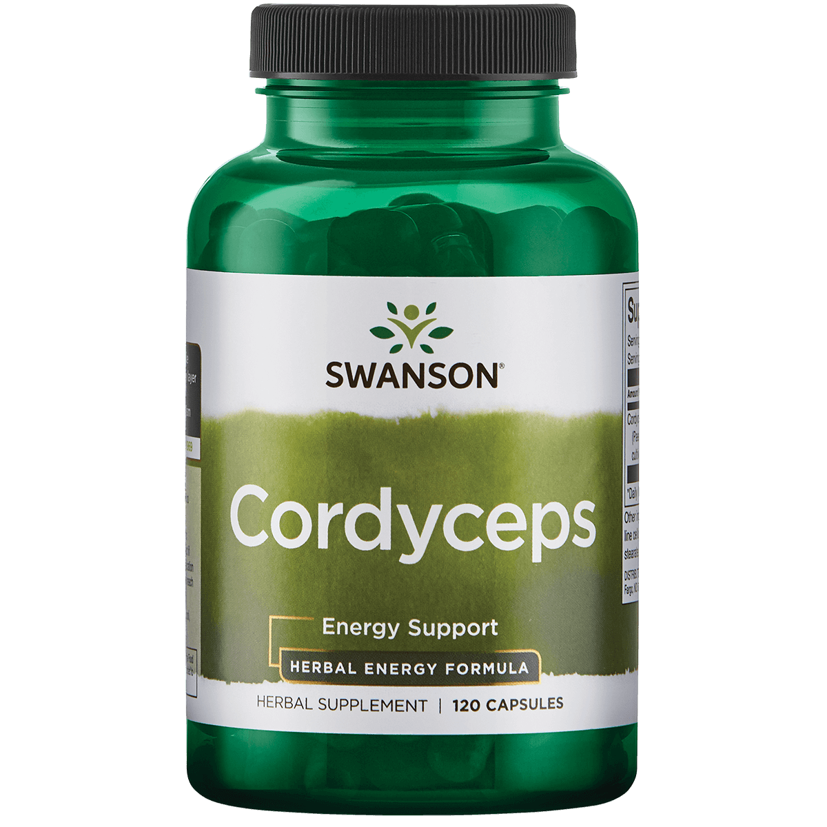 Cordyceps