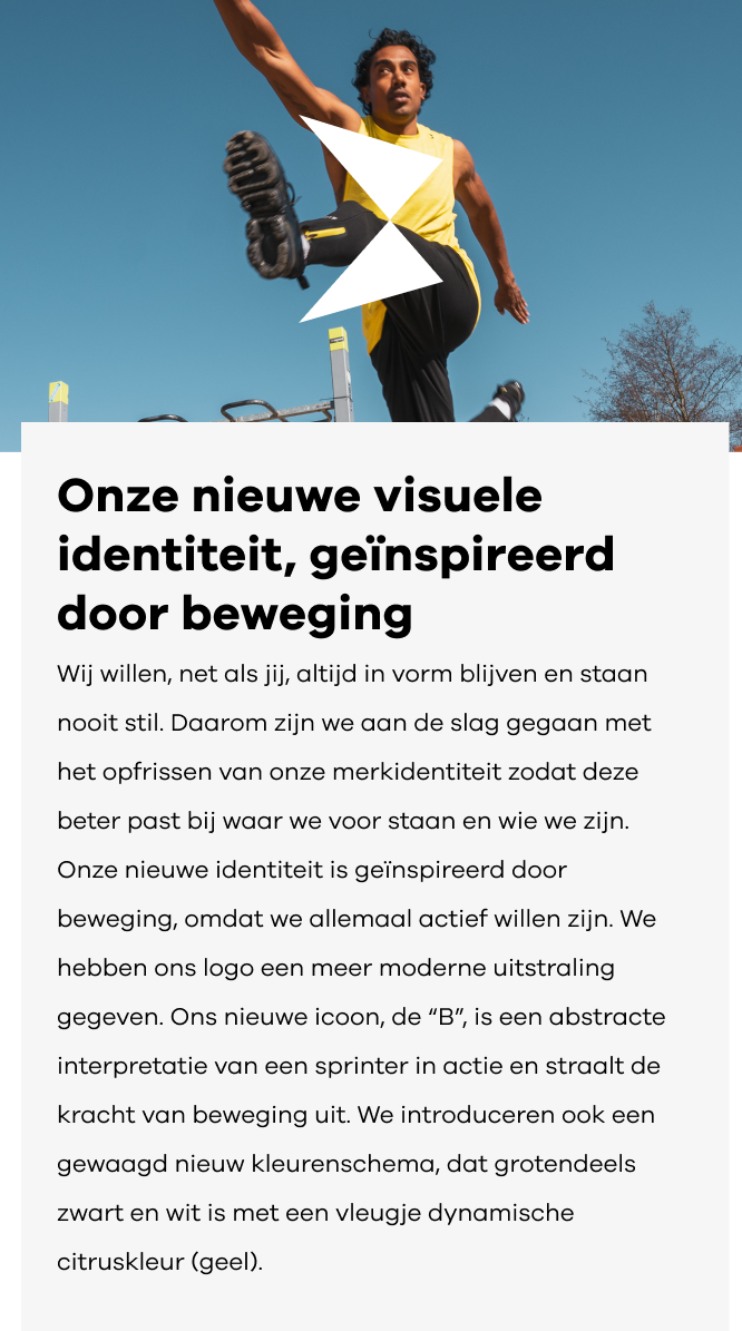 NL-mobile-header-666x1067-visual-identity.png