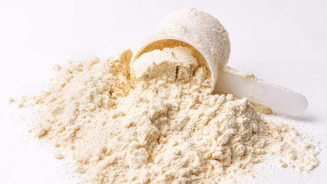 Scoop of protein powder spilled on white surface.