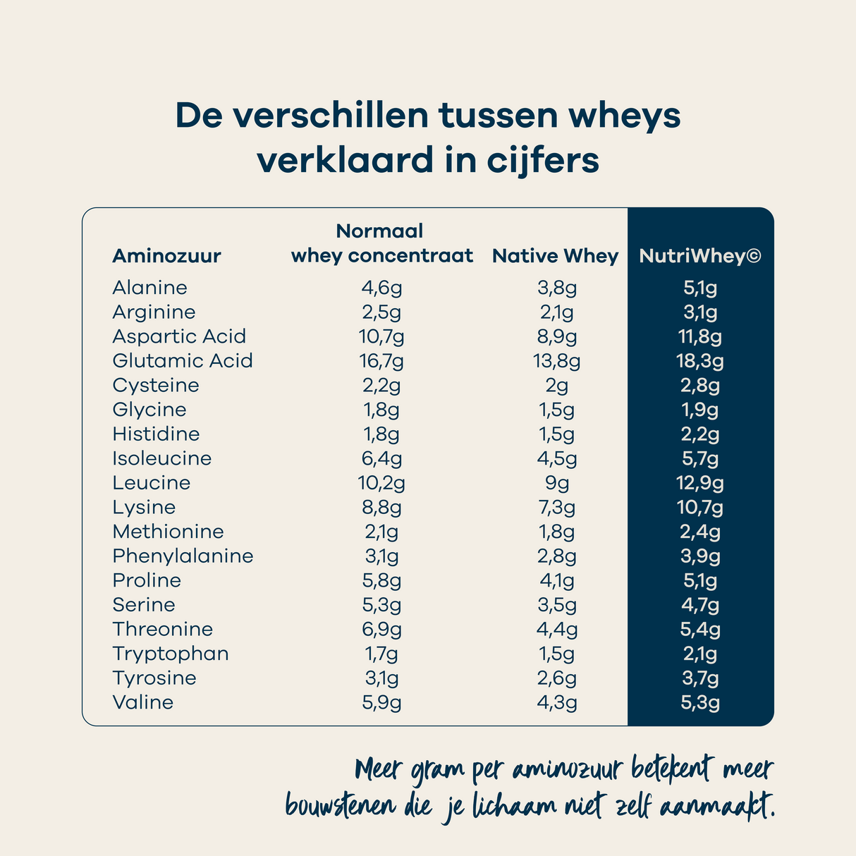 Body&Fit Whey Perfection - aminozuren