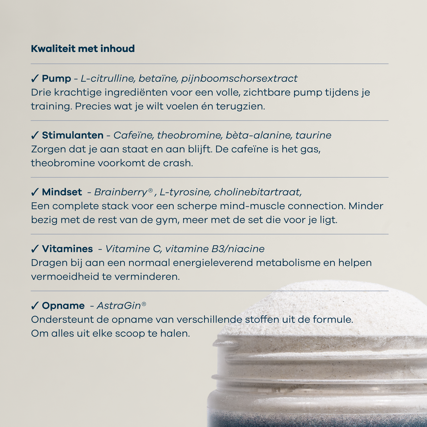 Perfection Pre-Workout ingredienten overzicht