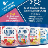 Applied Nutrition Amino Fuel EAA